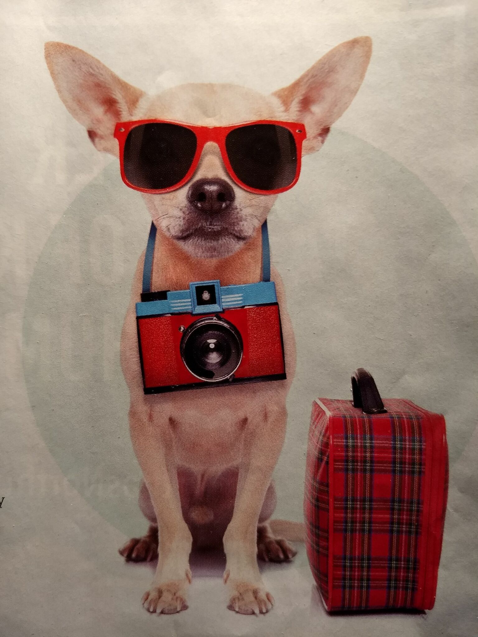 THE SILVER SNAIL - A CRIME DRAMEDY TV SERIES