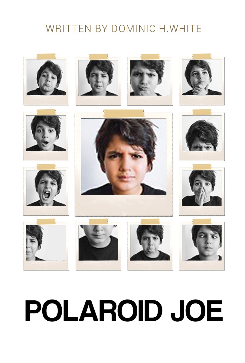 POLAROID JOE