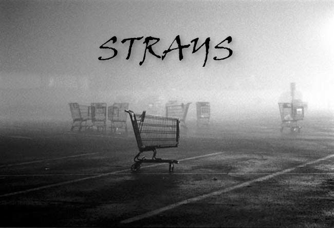STRAYS