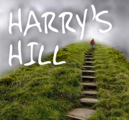 HARRY'S HILL