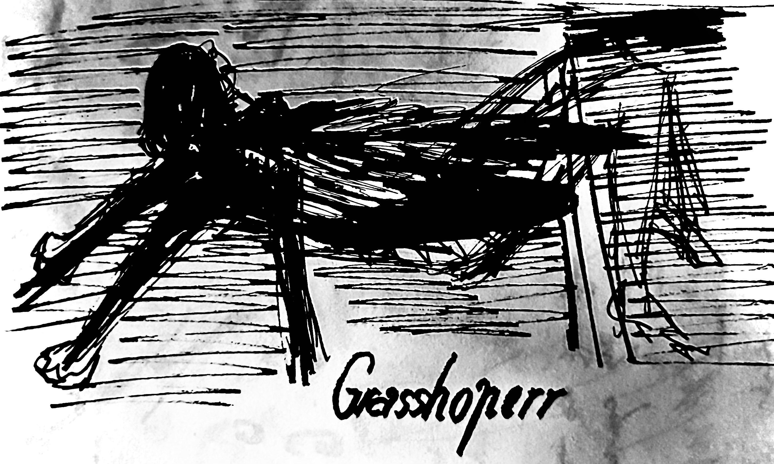 GRASSHOPERR - THE BEGINNING 