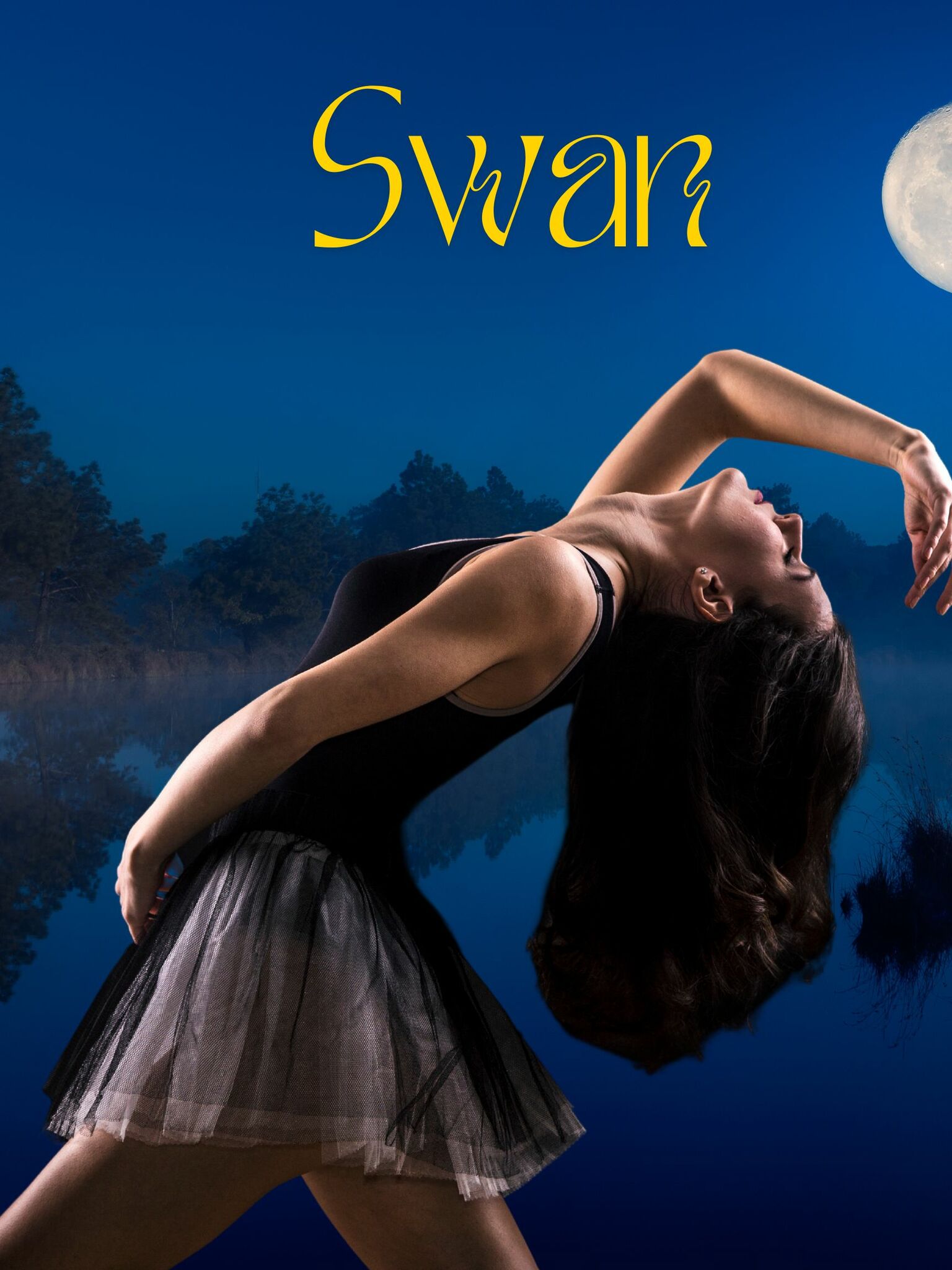 SWAN ISS #24