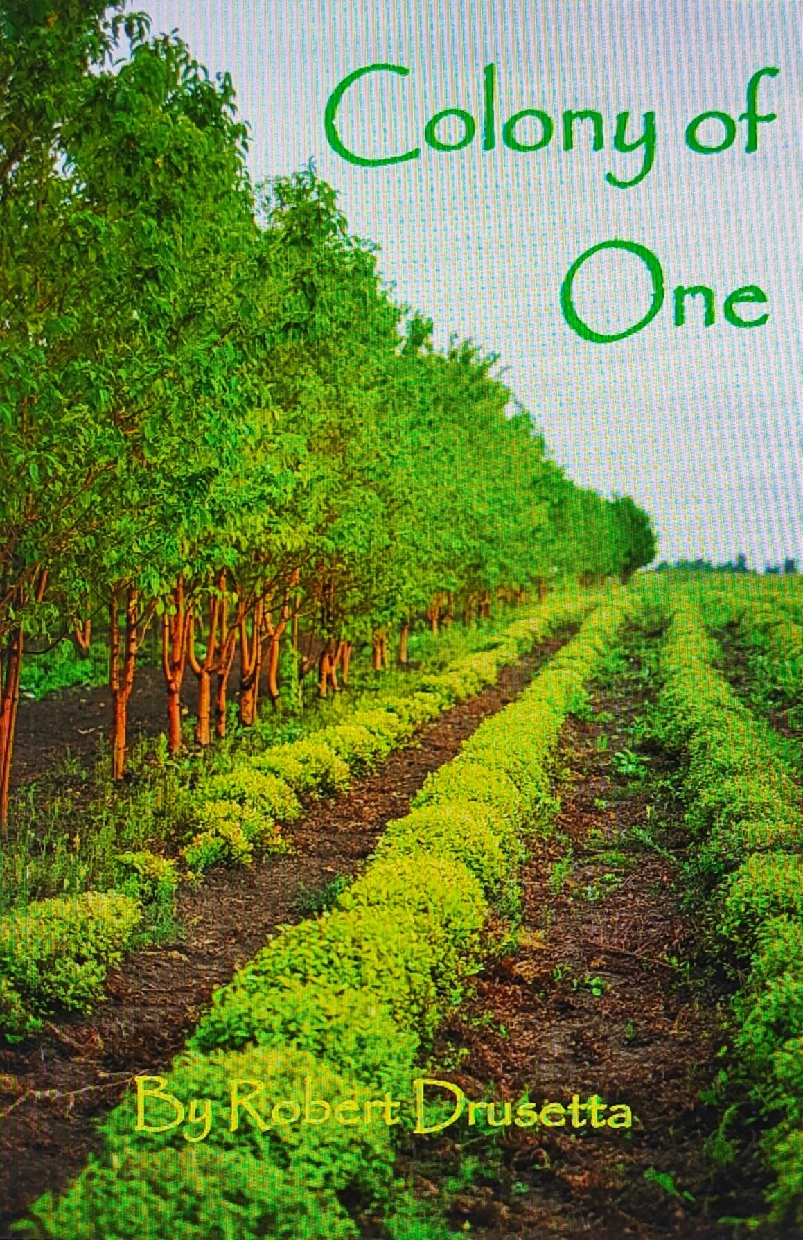 COLONY OF ONE
