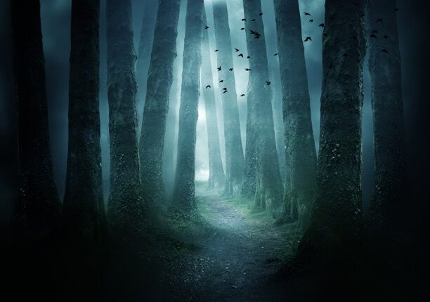 THE WHISPERS IN THE WOODS