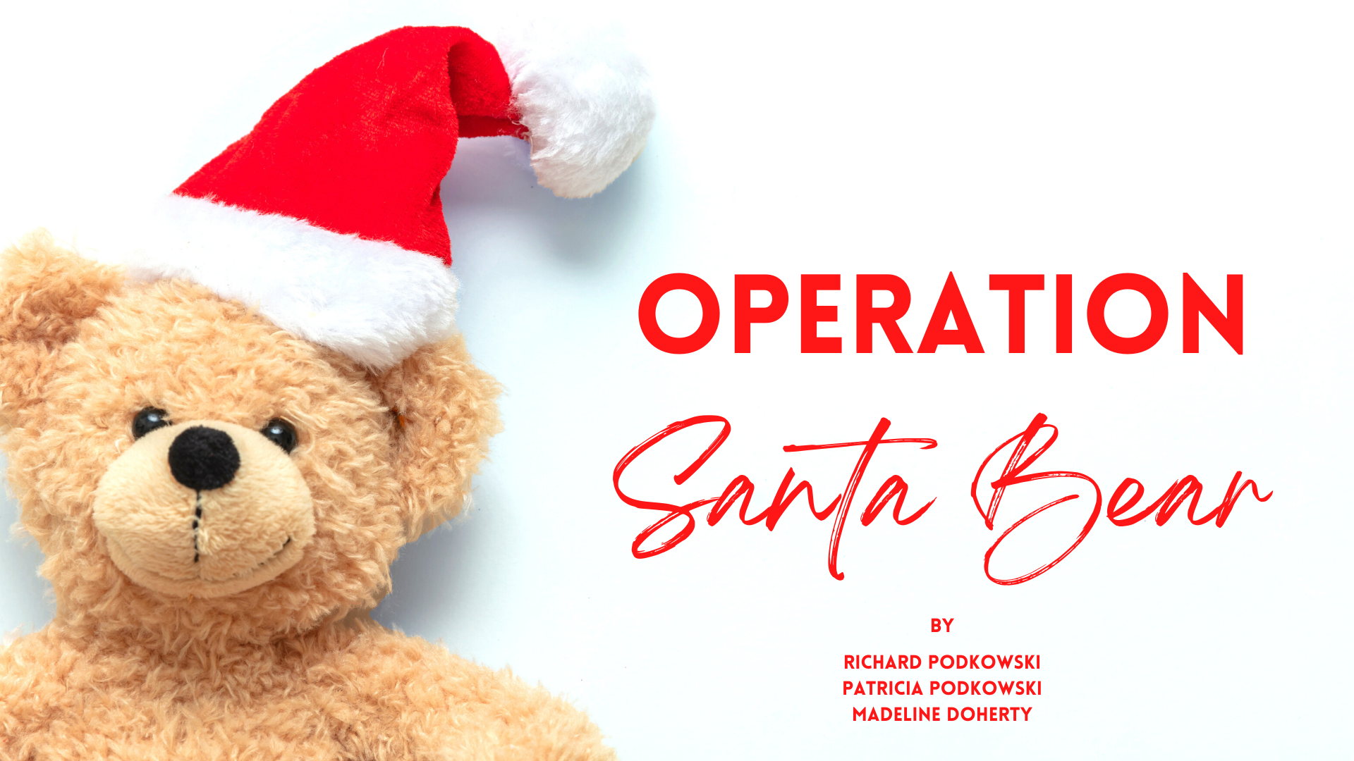 OPERATION SANTA BEAR
