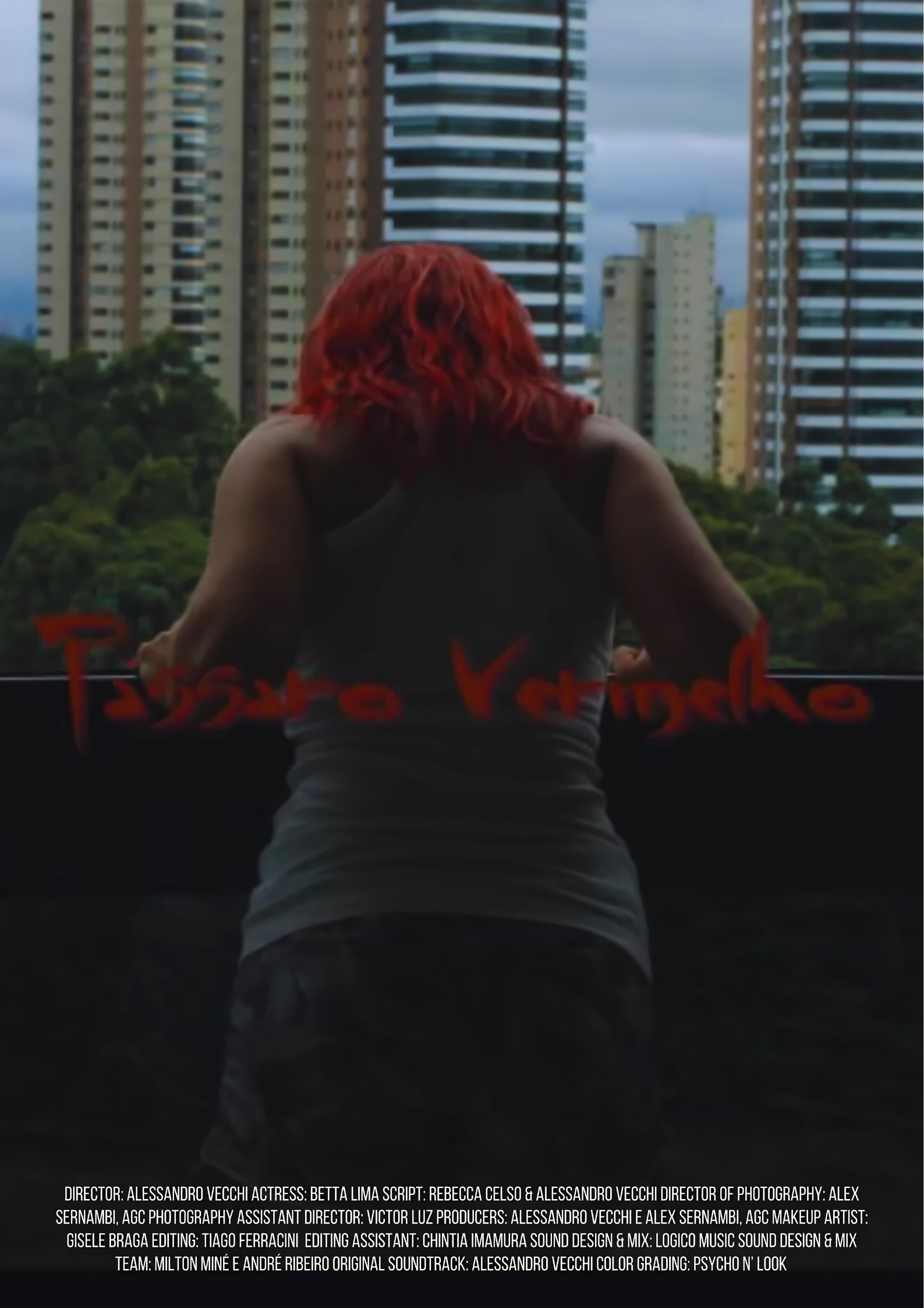 PáSSARO VERMELHO (RED BIRD)