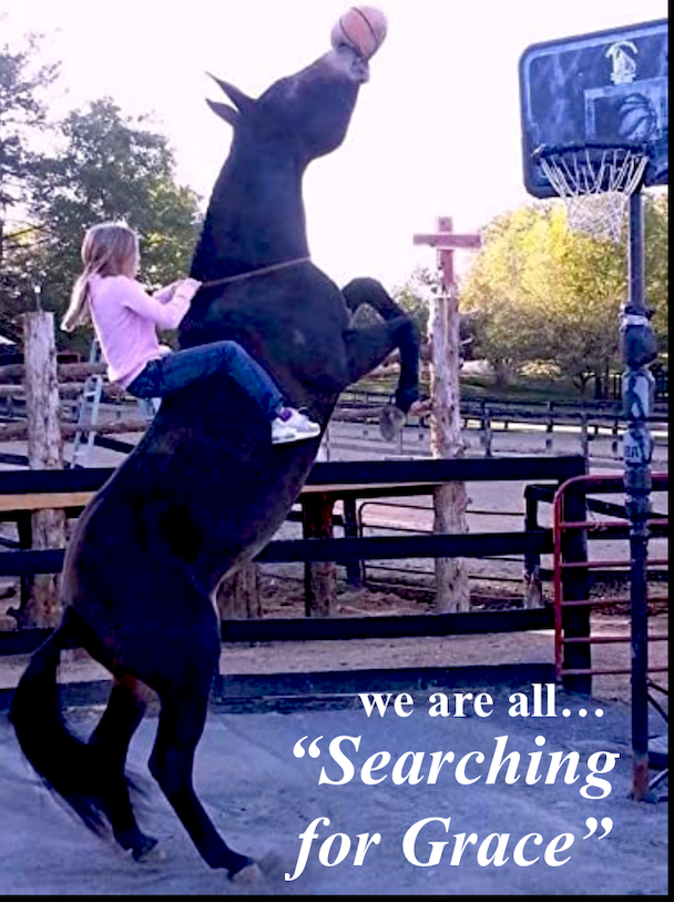 SEARCHING FOR GRACE - PILOT