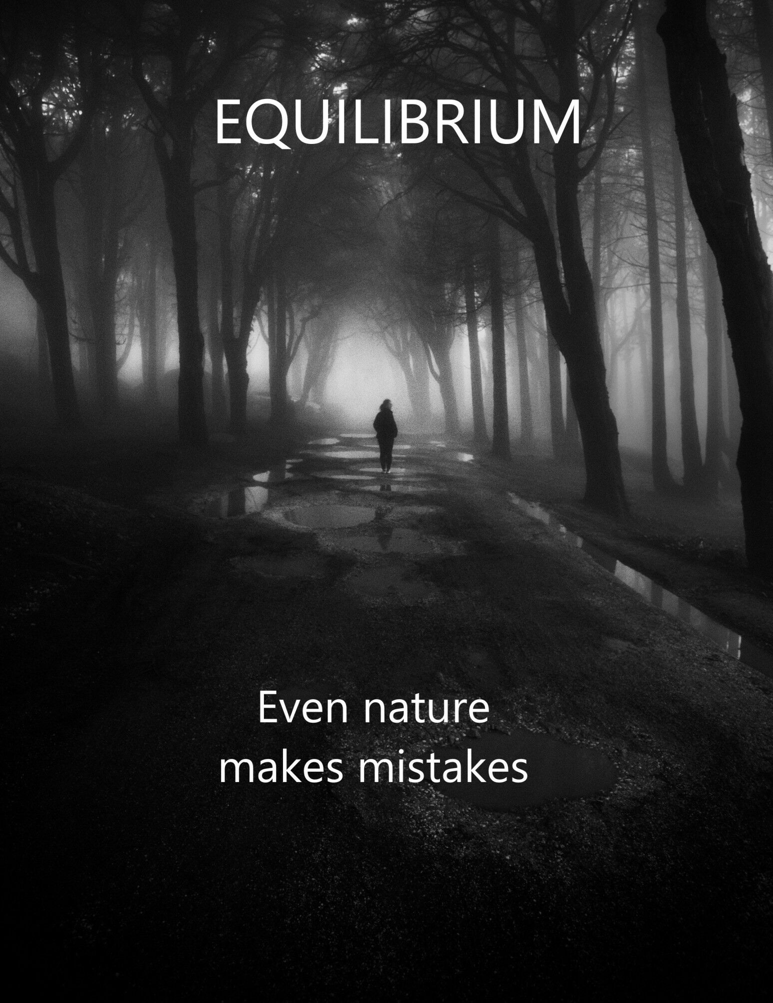  EQUILIBRIUM 