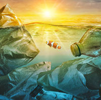 THE GARBAGE PATCH