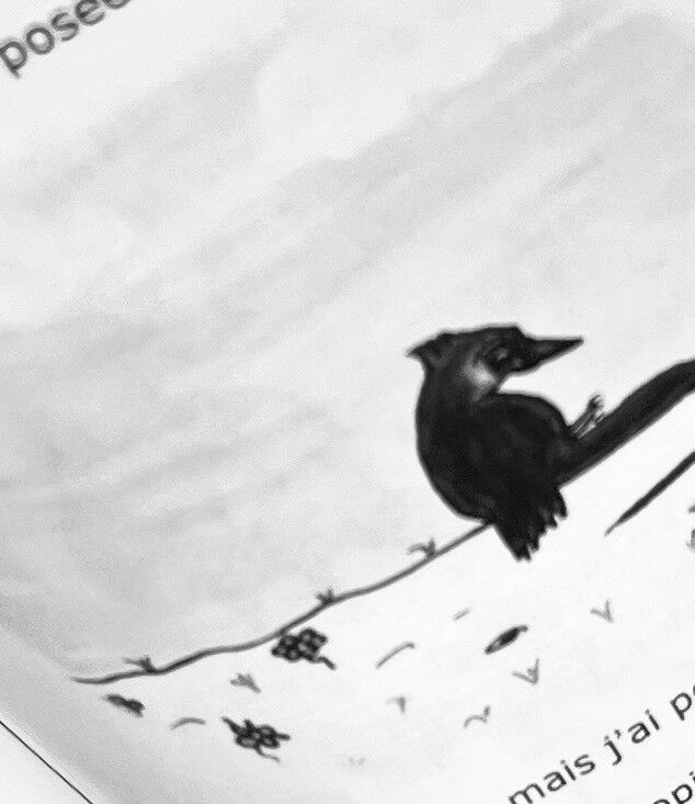 GALOPIN THE CROW: THE UNTOLD STORY OF HOW HE BECAME KING