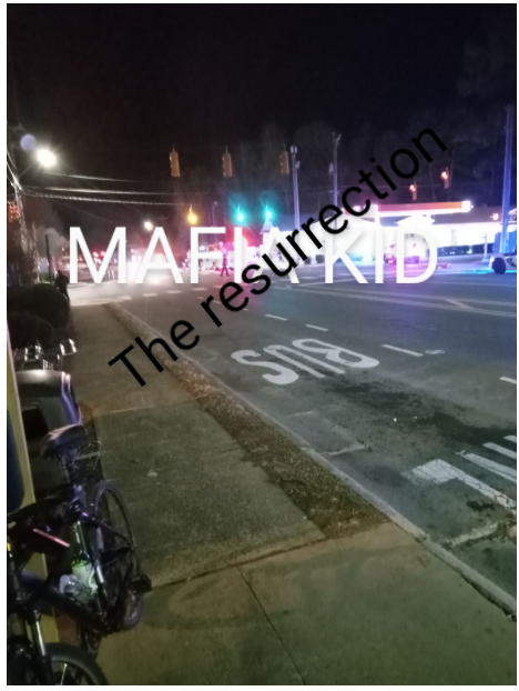 MAFIA KID, THE RESURRECTION 