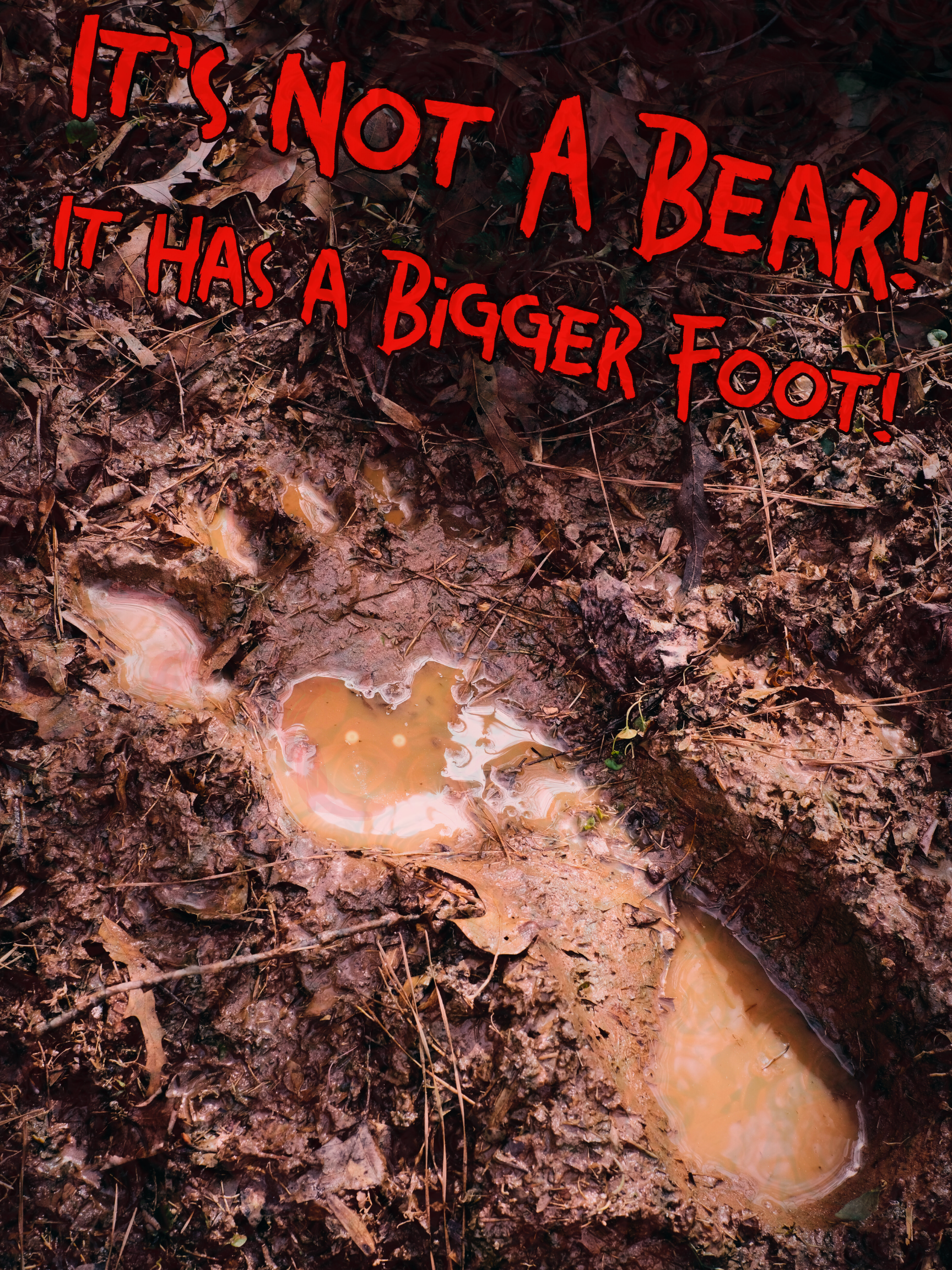 IT'S NOT A BEAR! IT HAS A BIGGER FOOT!