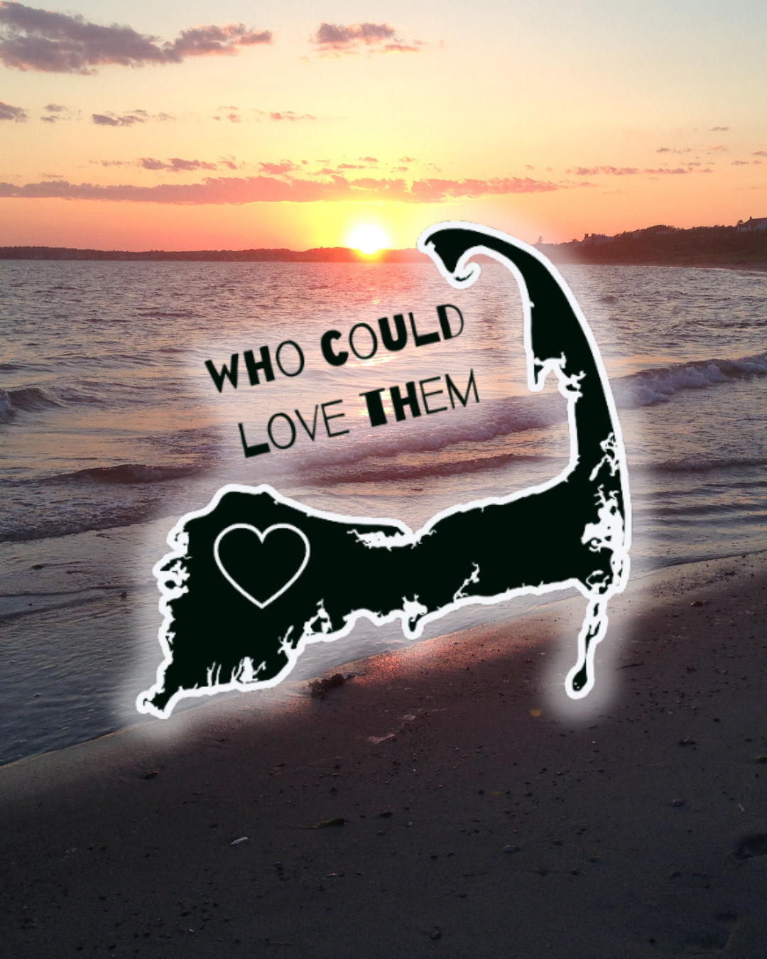 CAPE COD DATING DOCUSERIES: WHO COULD LOVE THEM