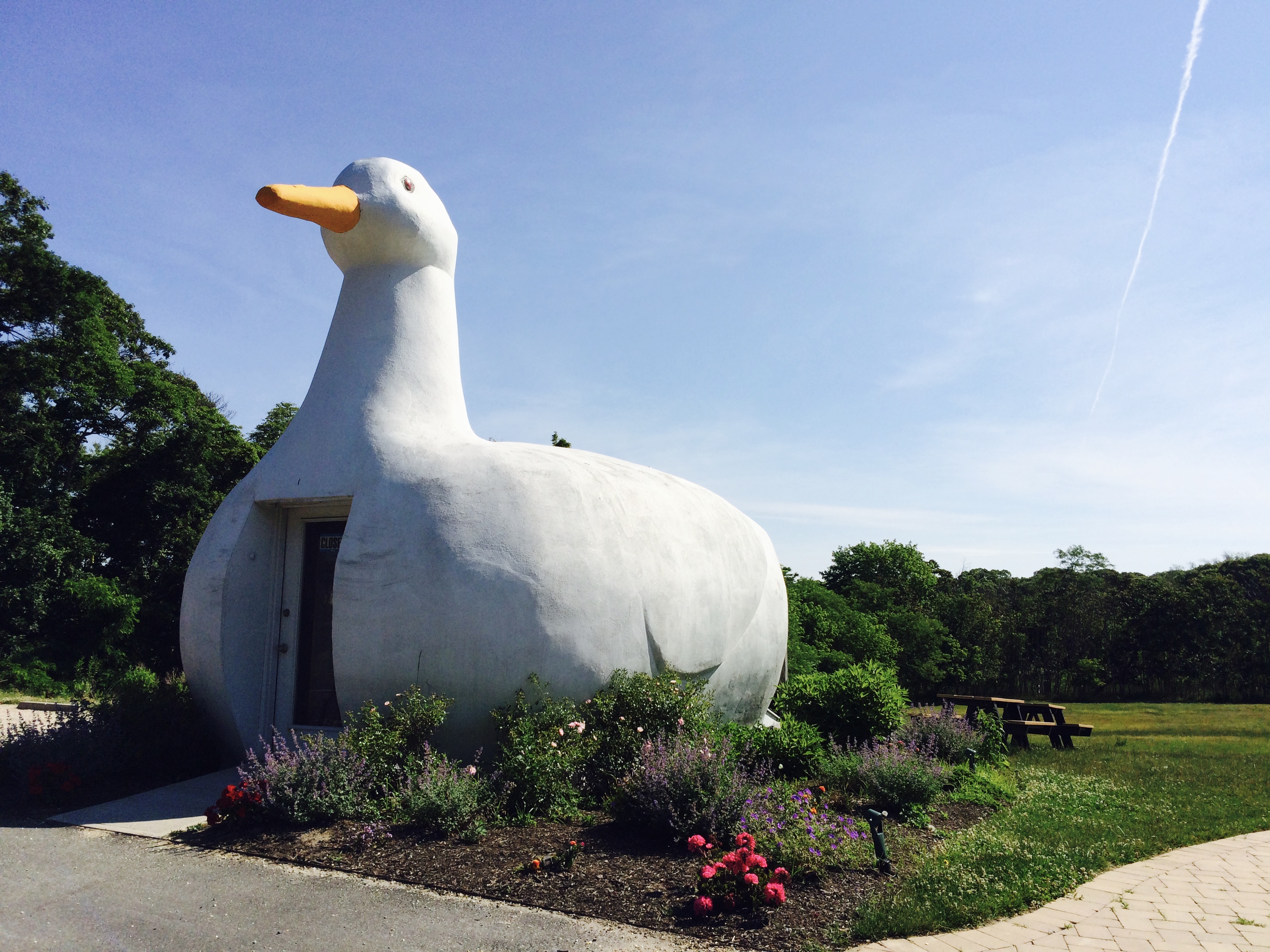 QUACK