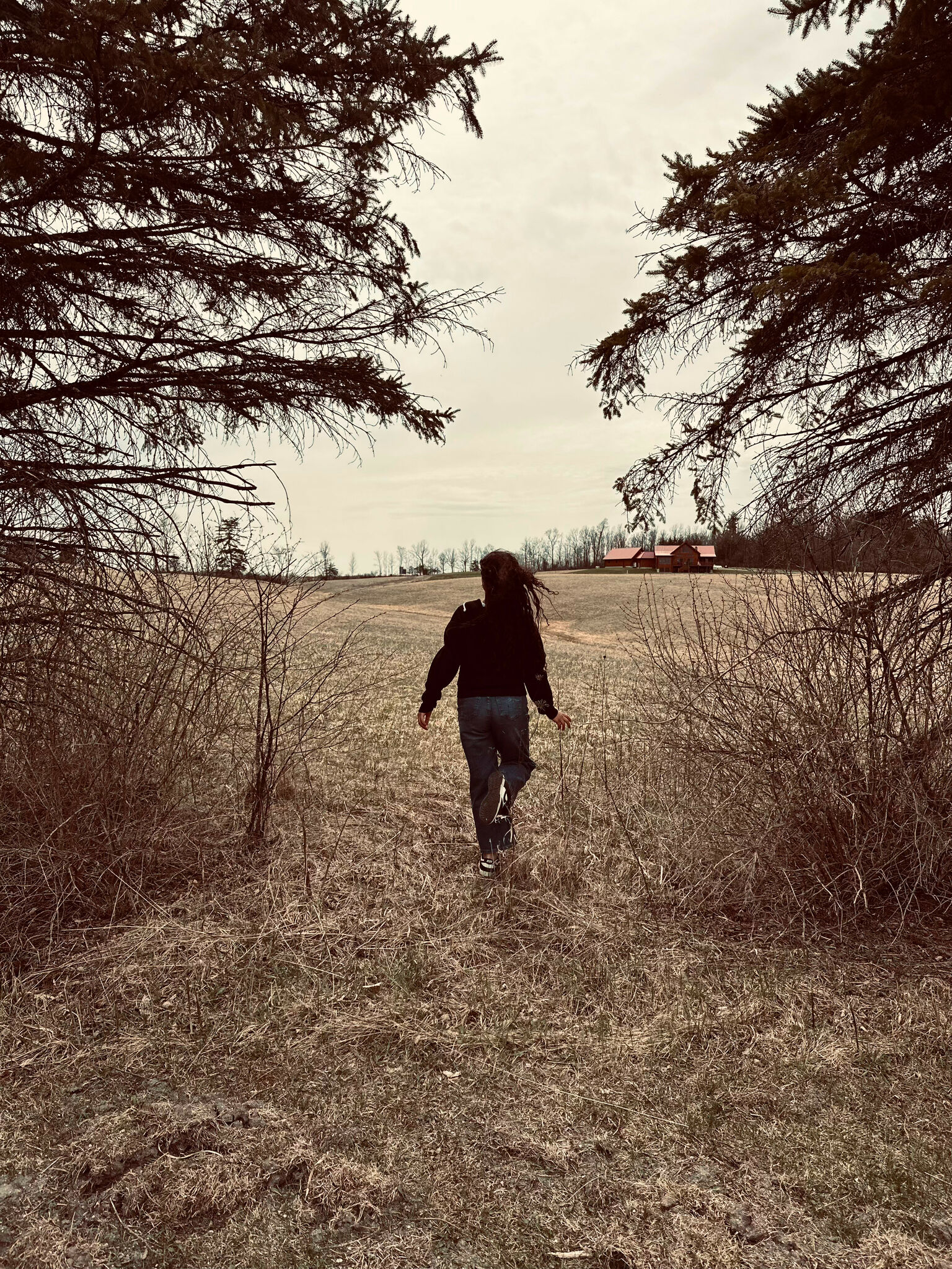 EVERYTHING IN THE WOODS