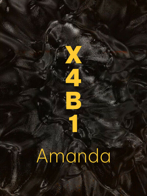 X4B1:AMANDA