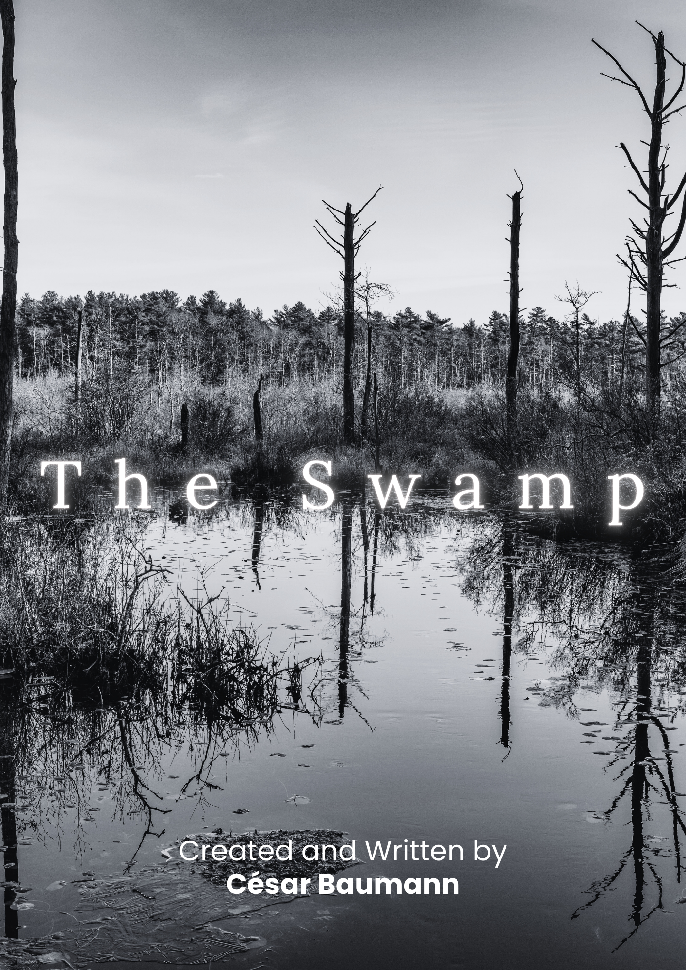 THE SWAMP