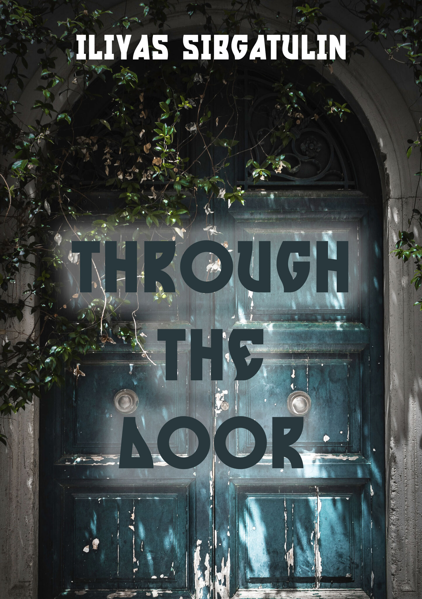 THROUGH THE DOOR