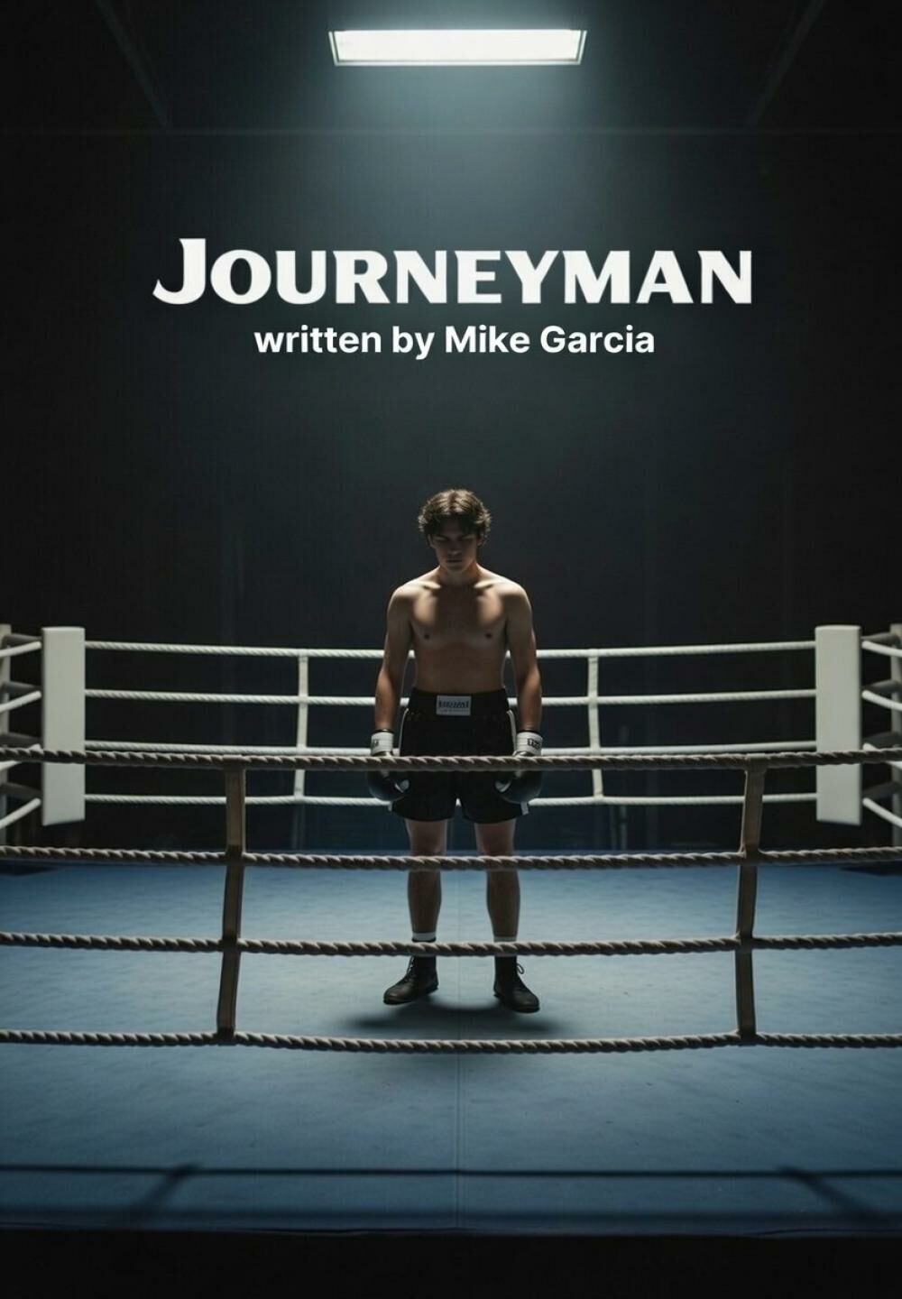THE JOURNEYMAN